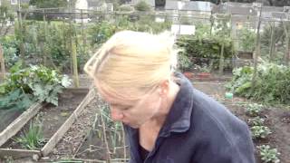 Allotment Nightmare Episode 16 September 9 2012