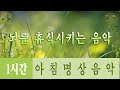 행운을 끌어오는 신비한 명상음악  🌲하루10분 만병을 치료 해주는 힐링 명상 기치료 음악 및 영상 - 아침음악, 힐링음악, 명상음악, 스트레스해소음악