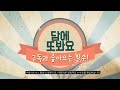 2024년 가장핫한 다크초콜릿 추천순위 best10 가격 평점 후기 정보