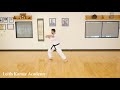 uechi ryu seichin kata front view slow speed karate tutorial