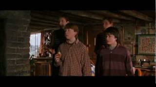 Mrs. Weasley - Chamber of Secrets.mpg