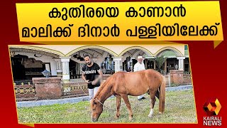 കാസർഗോഡ് പള്ളിയിലെ കുതിര | Malik Deenar Mosque Kasargod | Kairali News