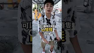 瘋狂的吉娃娃也能變乖寶寶？#寵物訓練 #pets #狗狗