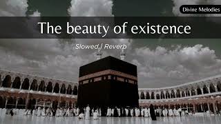 The Beauty of Existence | Slowed & Reverb | Nasheed | Muhammad al Muqit | Divine Melodies