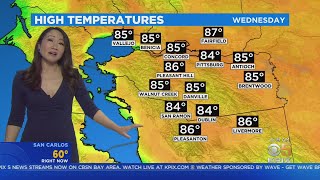 Wednesday Morning Forecast with Mary Lee