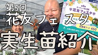 【#70】【多肉植物】【花友フェスタ】【東京ビッグサイト】【苗紹介】第5回ガーデニング愛の祭典花友フェスタ苗紹介します！！！【ころん】