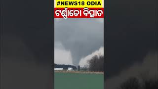 ଟର୍ଣ୍ଣାଡୋର ବିତ୍ପାତର ଲାଇଭ ଦୃଶ୍ୟ | Shorts | Odia News