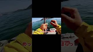 釣れない海域でジグをゆっくり巻いたら…#ゴムボート #釣り #slj #fishing #真鯛#釣れない海域#山口県釣り