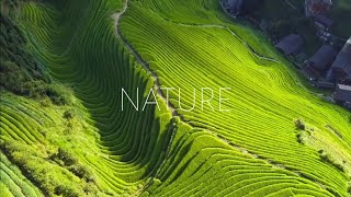 Free videos for youtube | no copyright videos pack | Nature video | creative commons hd videos 2020