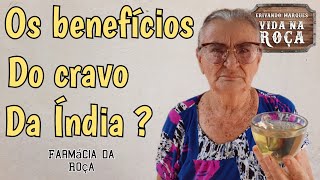 Quais os benefícios do cravo da Índia para sua saúde.