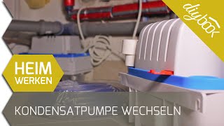 Kondensatpumpe der Heizung wechseln