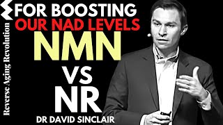 NMN vs NR For Boosting Our NAD Levels | Dr David Sinclair Interview Clips