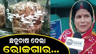 ଛତୁ ଚାଷ ଦେଖାଇଲା ରୋଜଗାର ର ବାଟ | ସ୍ୱାବଲମ୍ବୀ ହେଉଛନ୍ତି ମହିଳା