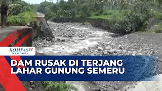 Dam Sepanjang 100 Meter Jebol Diterjang Lahar Gunung Semeru, Irigasi Jadi Kering