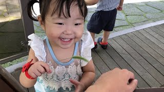 [Twin Vlog 쌍둥이 육아 브이로그] 강아지풀 간질간질 놀이 ^^ Green foxtail tickling play