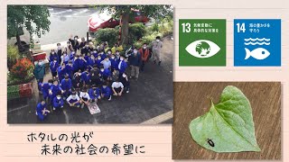 【SDGs】ホタルの光が未来の社会の希望に／Seeds of happiness（2021/1/9）