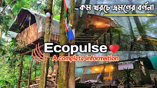 Ecopulse| Jungle camping near kurseong| tree house