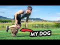 Am I FASTER Than My Dog??