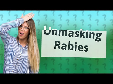 Where is rabies most common in the world?