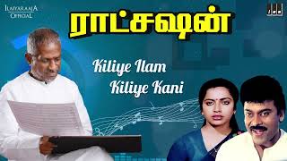 Kiliye Ilam Kiliye Kani Song | Ratchasan Movie | Ilaiyaraaja | Chiranjeevi, Radha | SPB, K S Chithra