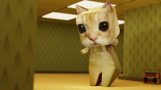 El Gato dancing in the backrooms (found footage)