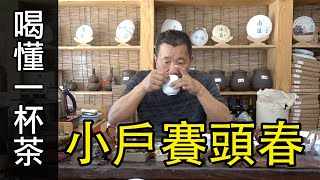 喝懂一杯茶，讀懂小戶賽｜這才是我們所要的小戶賽古樹茶【藝寶堂台灣張哥】