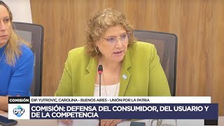 COMISIÓN COMPLETA: DEFENSA DEL CONSUMIDOR, DEL USUARIO Y DE LA COMPETENCIA - 14-11-2024 | HCDN