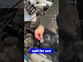 Toyota Fan Belt Replace #shorts #trending #india #reels #video #short #automobile