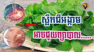 អត្ថប្រយោជន៍របស់ស្លឹកជីអង្កាមចំពោះសុខភាព || Health Benefits of Fertilizer [English Subtitle]