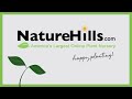 5 unique japanese maples to try naturehills.com