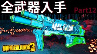 全武器入手を目指すボーダーランズ3 - Part12【実況】