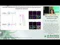 dr veronique miron glial interactions driving remyelination in ms