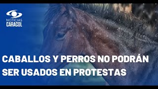 Autoridades ya no podrán usar animales en manifestaciones, según nueva ley sancionada por Petro