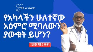 የአካላችን ሁለተኛው አዕምሮ ሚባለውን ያውቁት ይሆን?