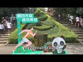 挑战火车旅行盲盒！12306里随机抽站名，没想到换乘方案这么烧脑 中国 火车旅行 列车 高铁 china train travel