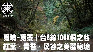 台8線106K楓之谷，賞紅葉、青苔的溪谷秘境｜覓境-覓景｜探路者