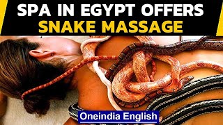 Spa in Egypt offers snake massage, video creeps out netizens | Oneindia News