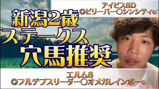 新潟2歳ステークス🐿リスグラシュン本命発表🔥今週は力がみなぎっています！的中しか見えない。アイビスSD◎ビリーバー🎯◯シンシティ🎯エルムS◎フルデプスリーダー◯オメガレインボー🎯