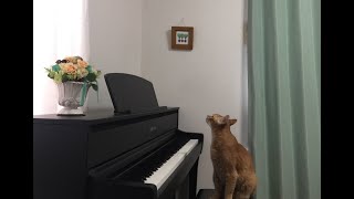 懐メロをピアノ伴奏で歌ってみよう！「瀬戸の花嫁」いづみmusic