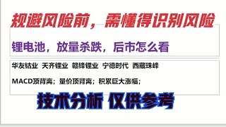 华友钴业 天齐锂业 赣锋锂业 宁德时代 锂电池放量跌后市怎么看？