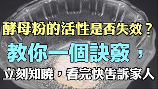 酵母粉的活性是否失效？教你一個訣竅，立刻知曉，看完快告訴家人