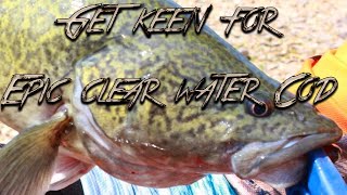 Epic clear water Murray Cod Fishing