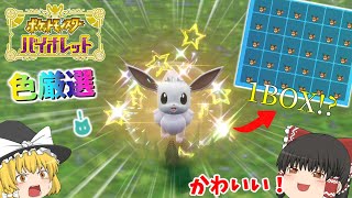 【ポケモンSV】色違いイーブイ1BOX厳選したら証だらけだった、、【ゆっくり実況】