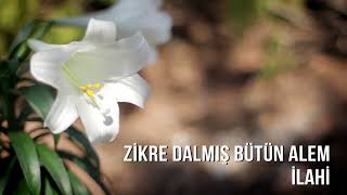 Müziksiz İlahiler   Zikre Dalmış Bütün Alem