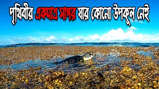 Sargasso Sea । তীরহীন সাগর । সারগ্যাসো সাগর