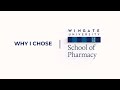 Why I chose Wingate University School Of Pharmacy