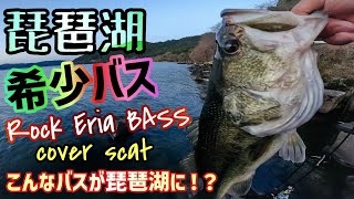 【琵琶湖バス釣り】ある意味希少！？琵琶湖ロックエリア最弱のバス！？春のカバースキャットでデカバスだが…？？季節は進んで春バスは産卵！難しい季節にどうやってバスを釣るのか？ネコリグの使い方も解説