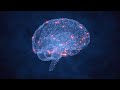 instant happiness guided meditation to boost hormones dopamine oxytocin serotonin endorphins