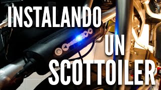 HOW to install a SCOTTOILER on the TRIUMPH TIGER 900