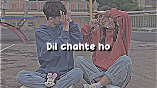 Dil Chahte Ho 🙊| Status |